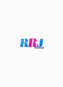スマテンUP導入事例インタビュー　RRJ防災様