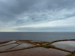 それでも輪島は前へ進む──復興のいまと輪島塗の美
